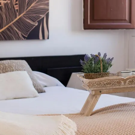 Plaza Ayuntamiento Habitame Inmobiliaria Apartment Granada